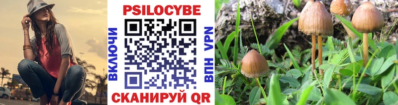 Галлюциногенные грибы GOLDEN TEACHER блэк спрут онион Чегем