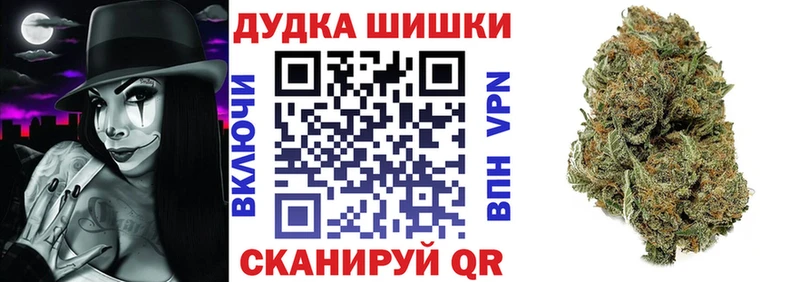 Конопля ГИДРОПОН  закладки  Чегем 